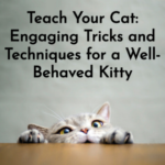 How To Teach Your Cat: Engaging Tricks and Techniques for a Well-Behaved Kitty eBook